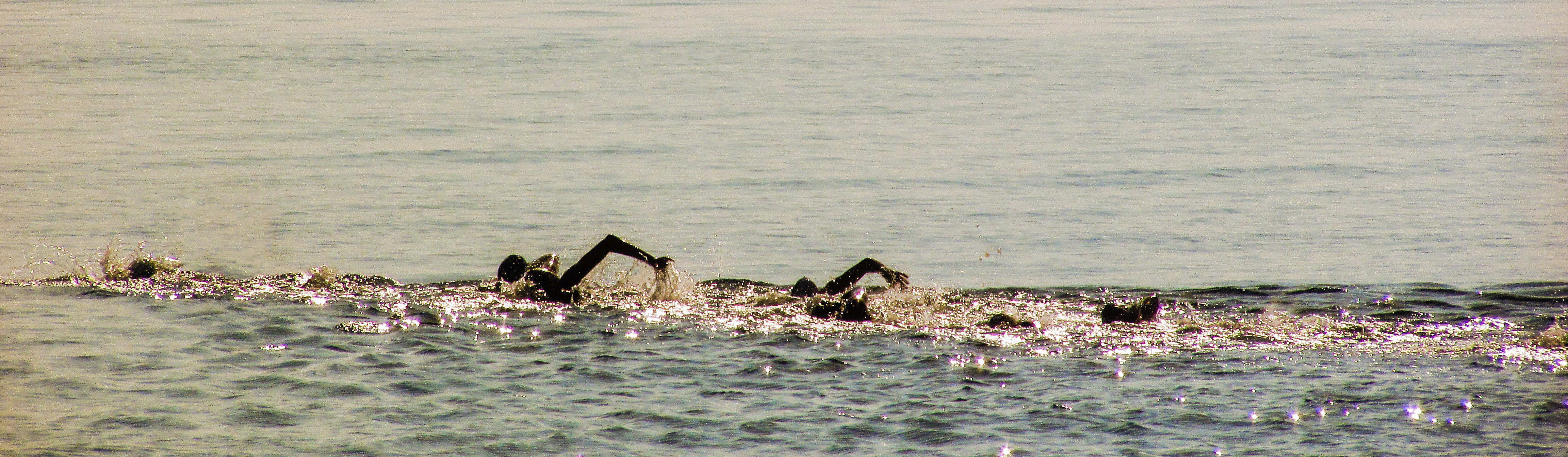 Swimrun